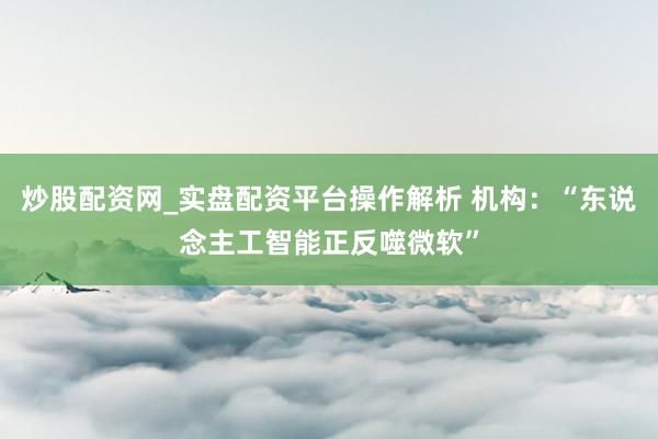 炒股配资网_实盘配资平台操作解析 机构：“东说念主工智能正反噬微软”