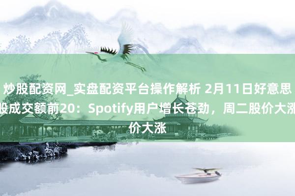 炒股配资网_实盘配资平台操作解析 2月11日好意思股成交额前20：Spotify用户增长苍劲，周二股价大涨