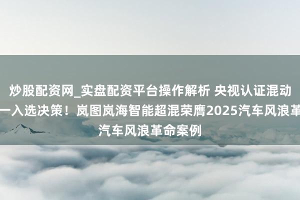 炒股配资网_实盘配资平台操作解析 央视认证混动全栈独一入选决策！岚图岚海智能超混荣膺2025汽车风浪革命案例