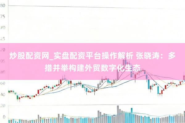 炒股配资网_实盘配资平台操作解析 张晓涛：多措并举构建外贸数字化生态