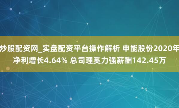 炒股配资网_实盘配资平台操作解析 申能股份2020年净利增长4.64% 总司理奚力强薪酬142.45万