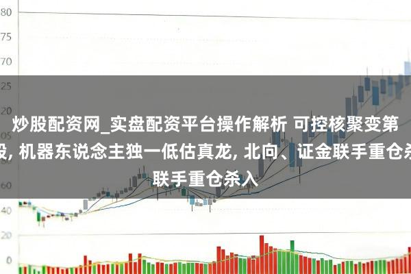 炒股配资网_实盘配资平台操作解析 可控核聚变第一股, 机器东说念主独一低估真龙, 北向、证金联手重仓杀入