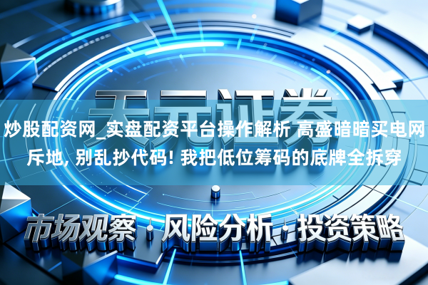 炒股配资网_实盘配资平台操作解析 高盛暗暗买电网斥地, 别乱抄代码! 我把低位筹码的底牌全拆穿