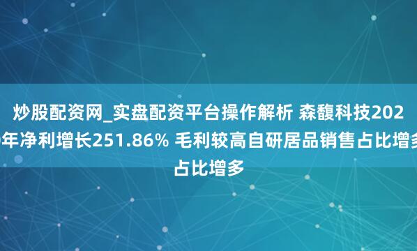炒股配资网_实盘配资平台操作解析 森馥科技2020年净利增长251.86% 毛利较高自研居品销售占比增多