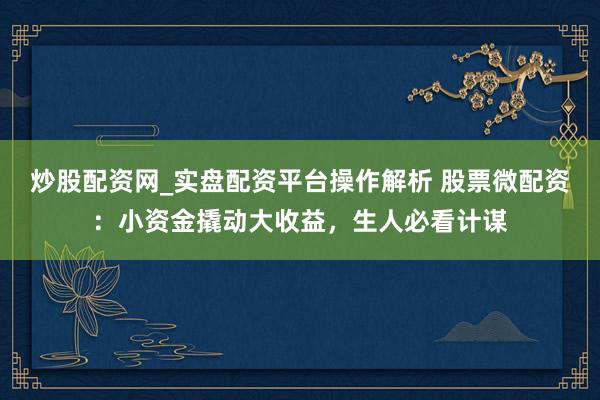 炒股配资网_实盘配资平台操作解析 股票微配资：小资金撬动大收益，生人必看计谋