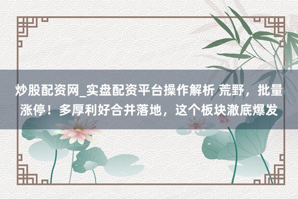 炒股配资网_实盘配资平台操作解析 荒野，批量涨停！多厚利好合并落地，这个板块澈底爆发