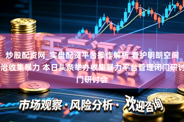 炒股配资网_实盘配资平台操作解析 看护明朗空间 共治收集暴力 本日头条举办收集暴力平台管理闭门研讨会